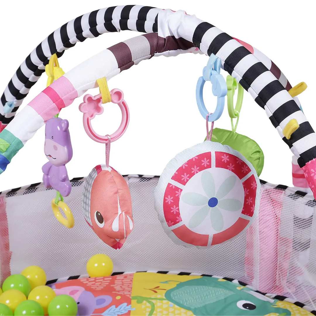 Activity gym and ball pit