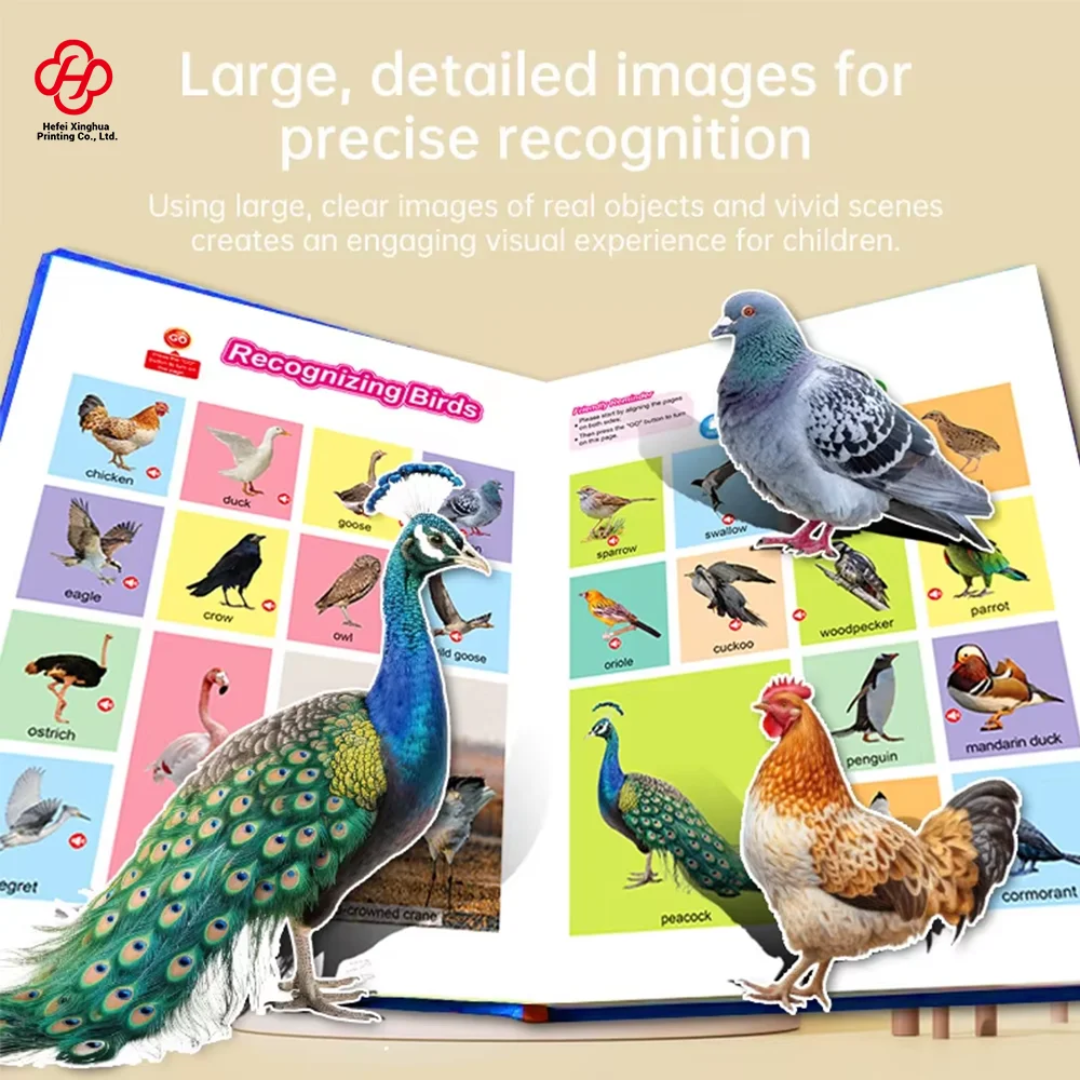 Early Education Sound Book Pure English Audio