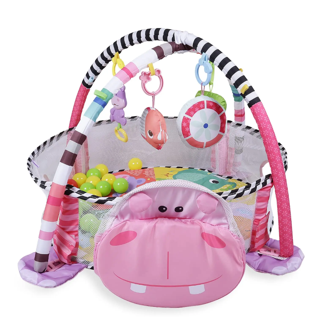 Activity gym and ball pit