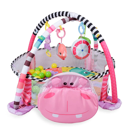 Activity gym and ball pit