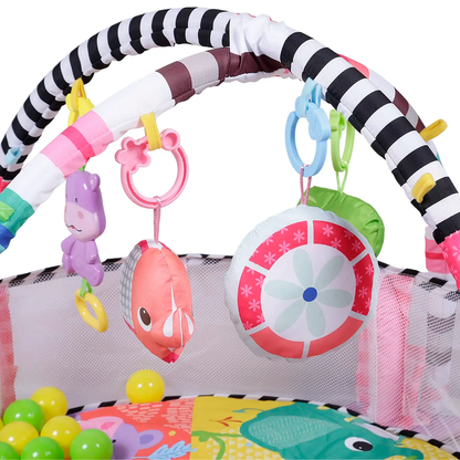 Activity gym and ball pit