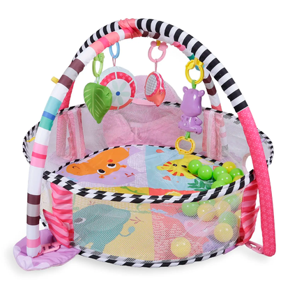 Activity gym and ball pit