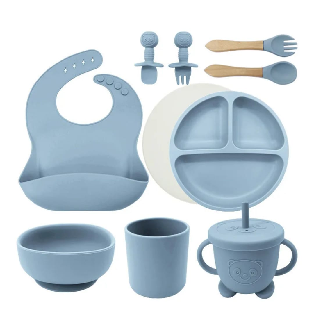 silicon feeding set